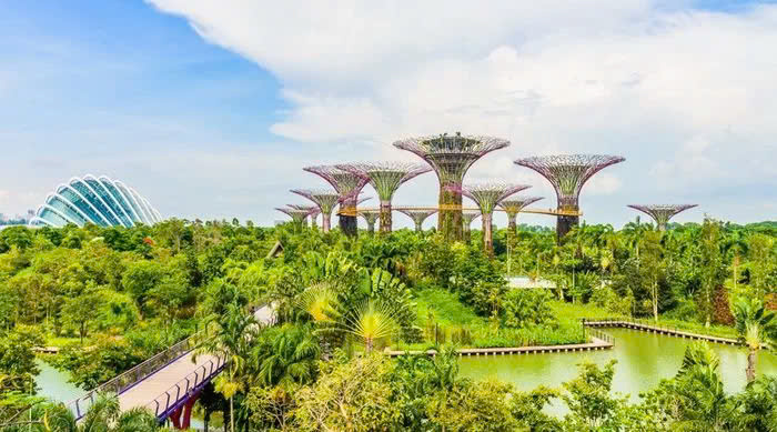 tour singapore cho gia dinh - Khu Supertree Grove o Gardens by the Bay