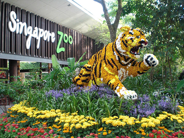 singapore co gi choi cho tre em - Cong vao Singapore Zoo