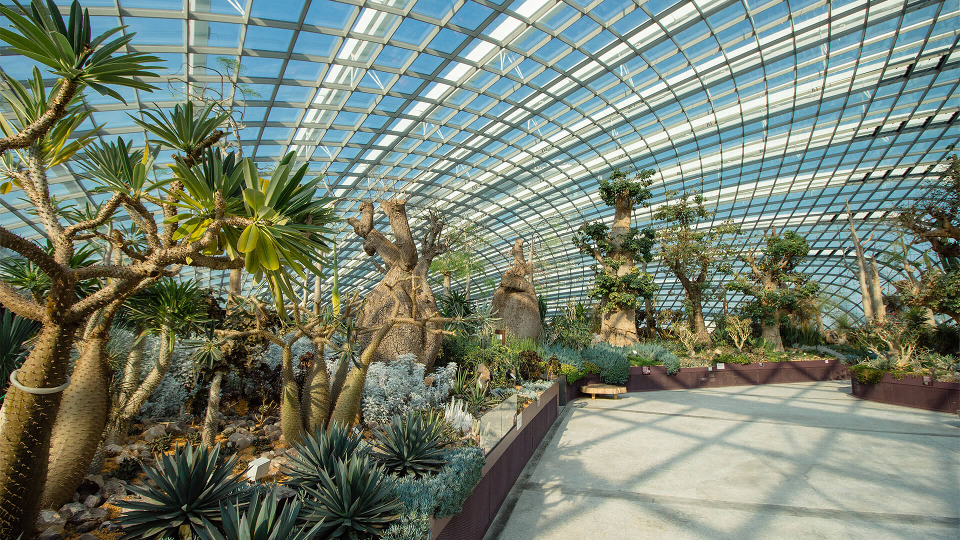 singapore co gi choi cho tre em - Nha kinh Flower Dome o Gardens by the Bay