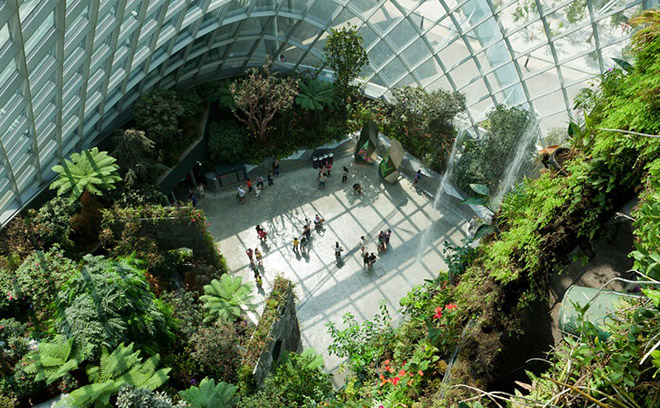singapore co gi choi cho tre em - Ben trong nha kinh Cloud Forest, Gardens by the Bay