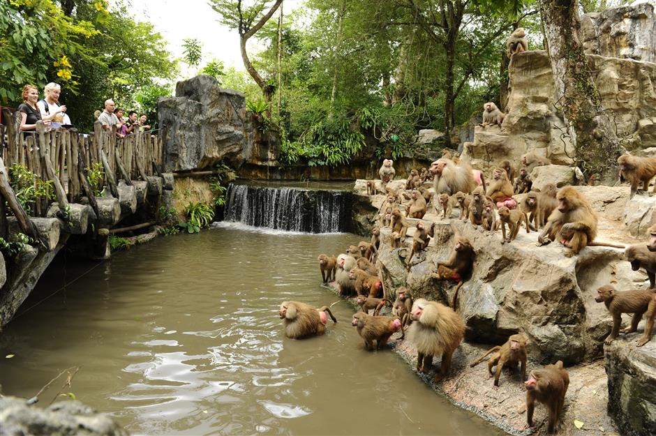 so thu singapore cho gia dinh - Dan khi va du khach o Singapore Zoo