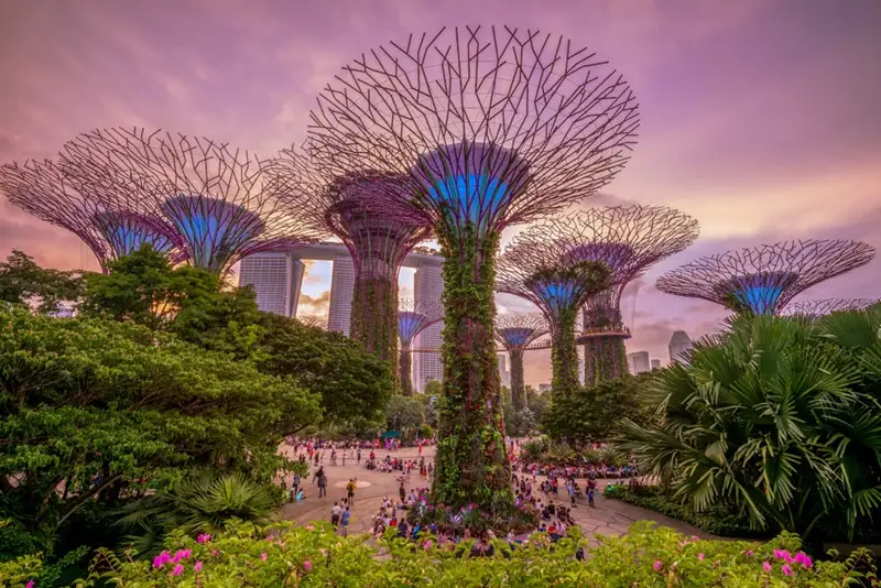 cho con di nuoc ngoai lan dau - Gardens by the Bay Singapore