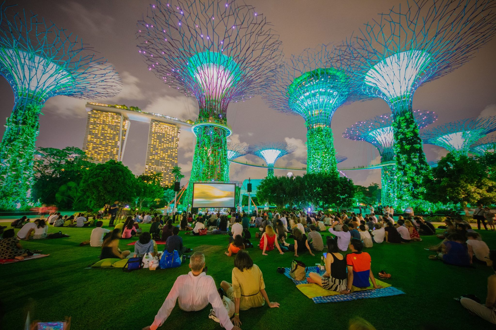 du lich singapore 3 the he - Show anh sang Garden Rhapsody tai Supertree Grove