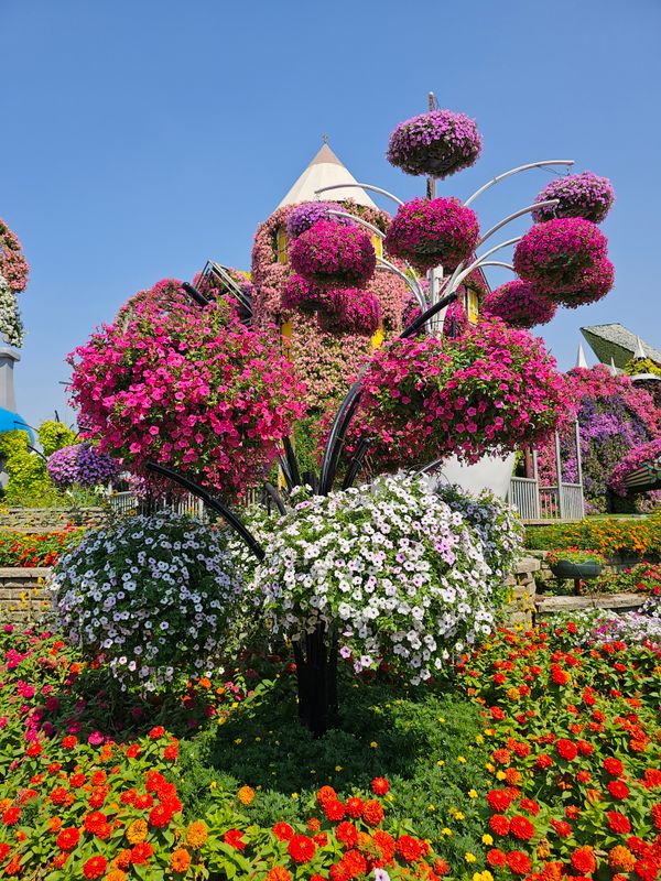 gardens by the bay cho trẻ em - Vườn hoa rực rỡ ở Singapore